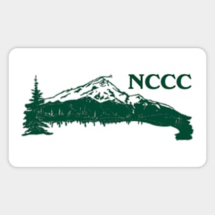 N3C 1 Magnet